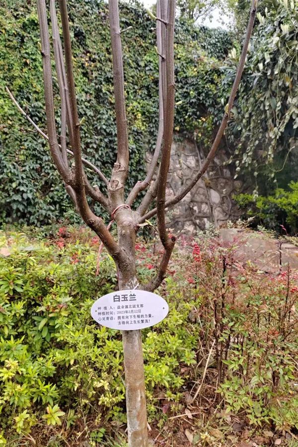 1679642838764216.jpg 微信圖片_20230324152311.jpg